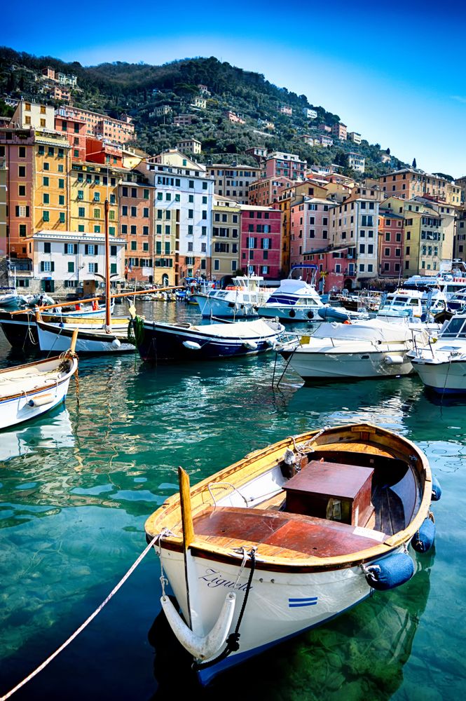 Boats beside dock in city