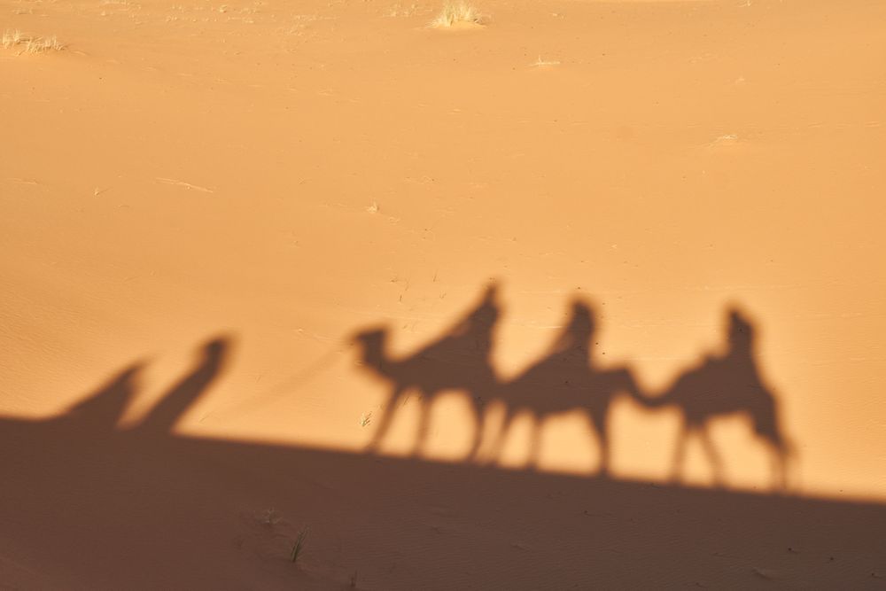 Shadow on sand of camels and people