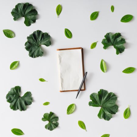 Pattern of green leaves on light background with notebook
