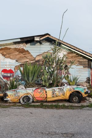 Cacti garden growing in car as public art in the vibrant South Austin neighborhood of Austin, Texas