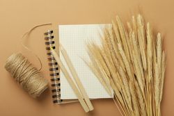 Notebook with dried flowers, yarn, pencils on neutral brown background