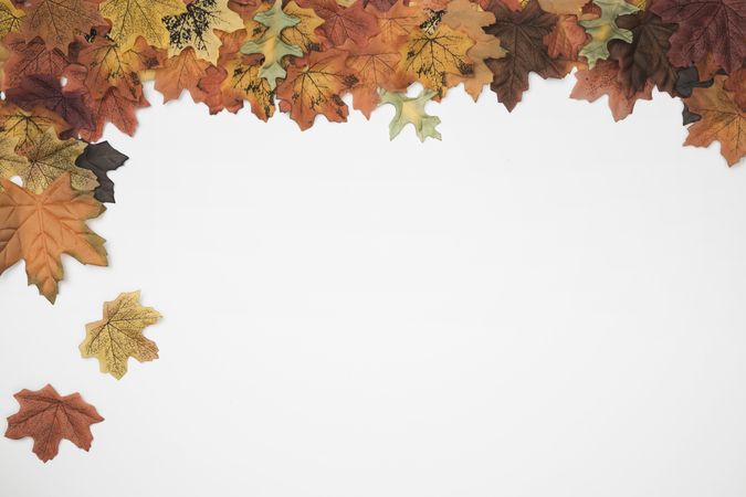 Autumn leaves falling from side frame