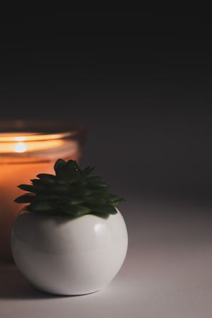 Minimal candle with potted flower