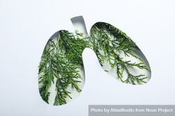 Lung shape cut out of paper with lush green plant underneath with copy space 4jJQ94