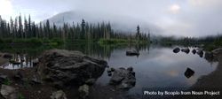 Green pine trees beside river during foggy weather in Snoqualmie Pass,Washington,United States 5wkjW5