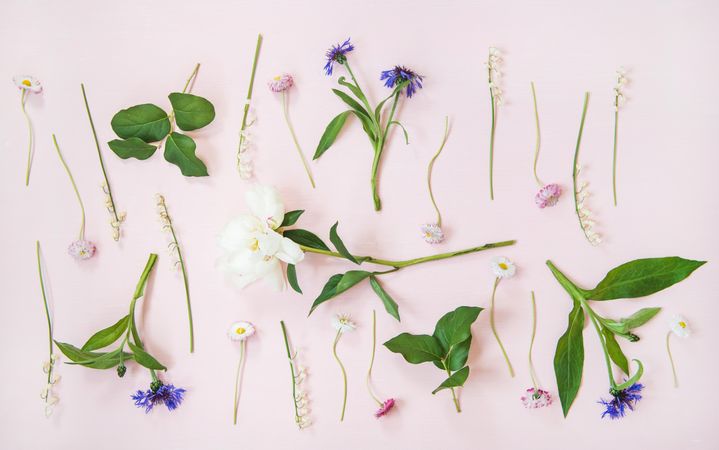Lily of the valley, cornflowers, daisies peonies over pastel powder pink, vertical