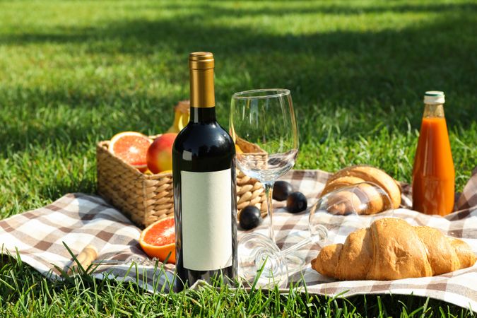 Picnic composition with wine and food against green grass, space for text
