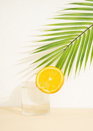 Glass of water with orange slide on neutral background and palm leaf