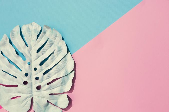 Tropical leaf on pastel pink and blue background