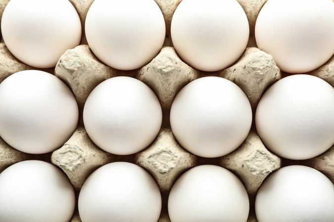 Chicken eggs in carton box as background, space for text