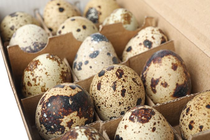 Quail eggs in carton box isolated on light background, closeup