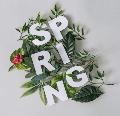 “SPRING” text with leaves and flowers