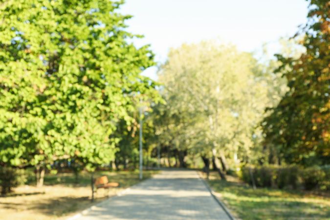 Blurred photo of city park in bright sunny morning