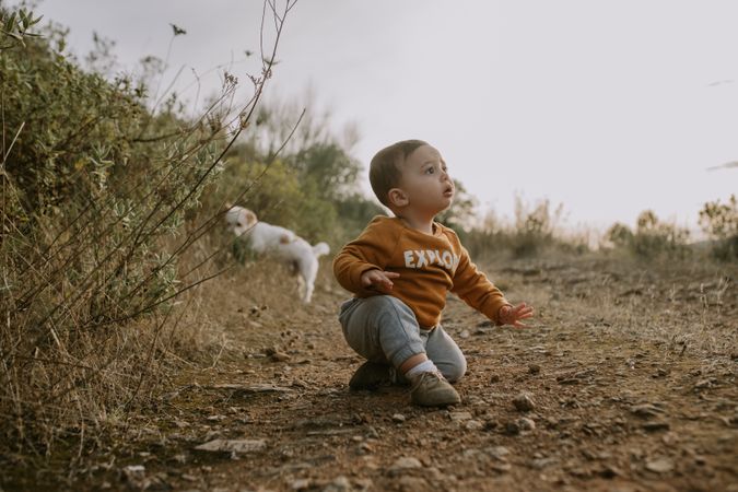 Baby boy on walking trail with dog