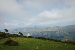 Astonishing view of green forested valley under cloudy sky in summer