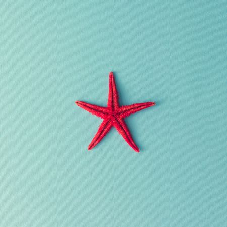 Red starfish on pastel blue background