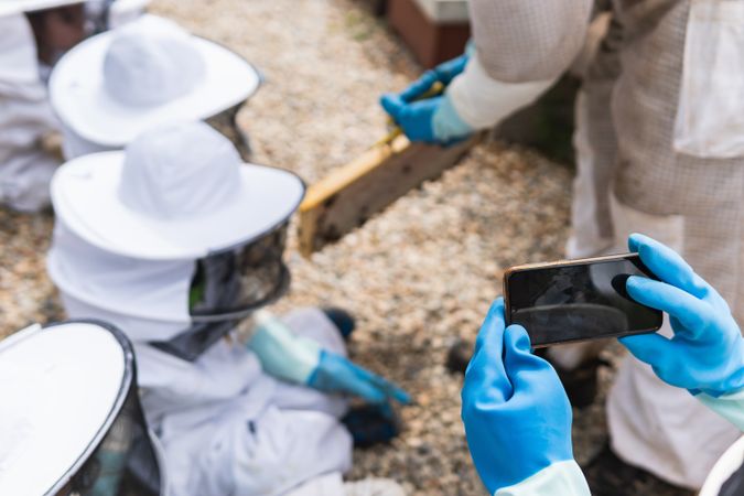Crop beekeeper taking photo of children in apiary on smartphone
