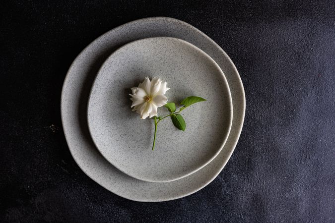 Minimalistic table setting with rose on grey plate