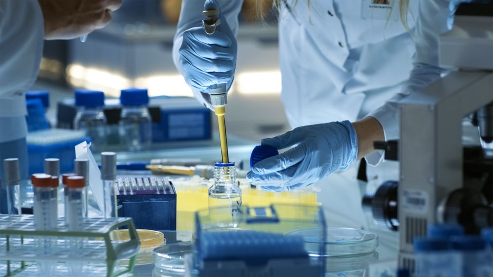 Female Research Scientist Uses Micropipette Filling Test Tubes.