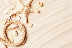 Sand with sea shells and rope, with copy space