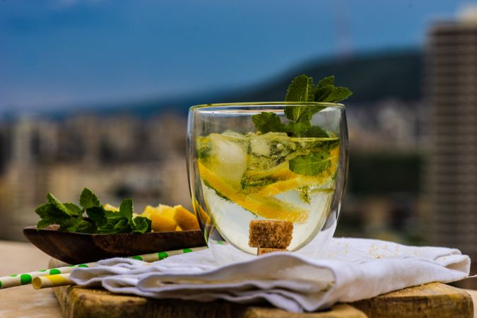 Fragrant gin and tonic cocktail with lemon and mint