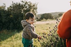 Toddler playing in a field
