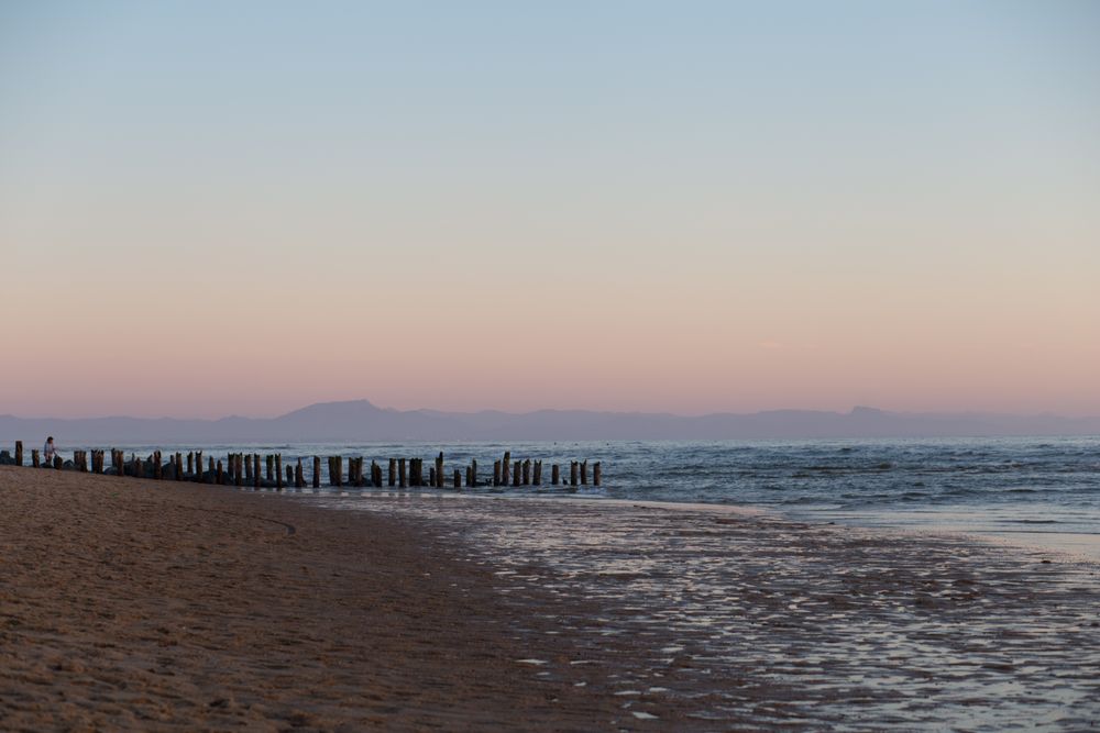 Calm sea on background of pink sky