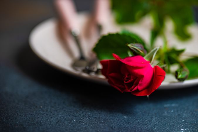 Close up of red rose on table setting