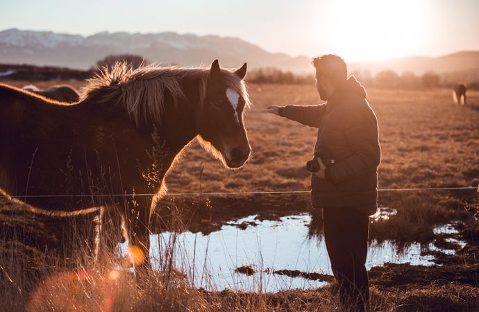 Man shooting on camera wild horse pasturing on field near water