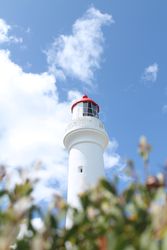 Light house nestled among plants