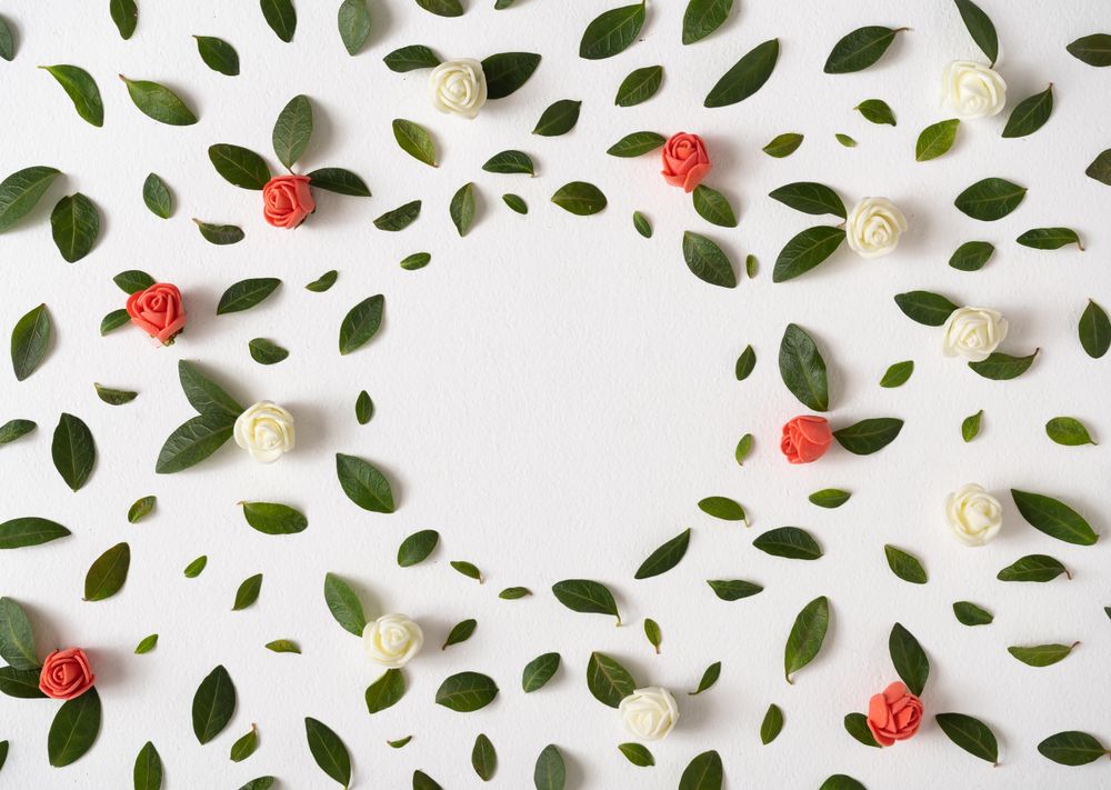 Green leaves and red berries on light background with paper card