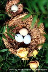 Top view of eggs in nest surrounded by green branches and flowers 5pYE84
