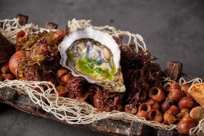 Fresh yummy opened oyster served in restaurant