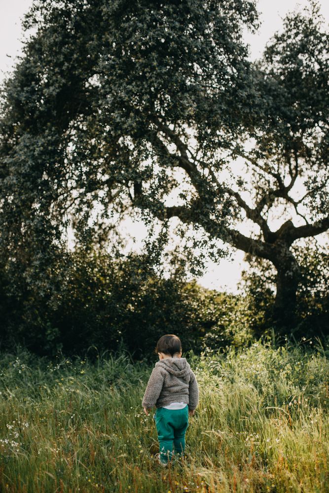 Young boy walking in tall grass