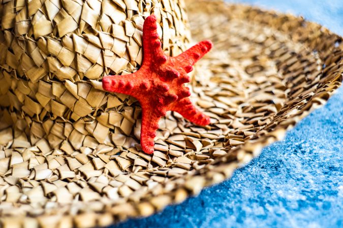 Red sea star resting on summer hat