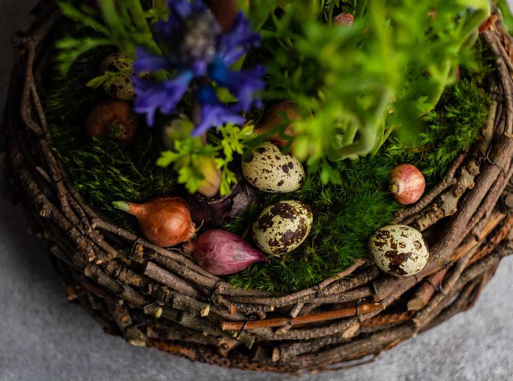 Spring floral composition with decorative quail eggs