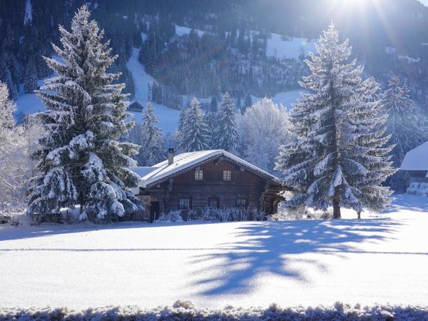 Swiss chalet under freshly fallen powder snow