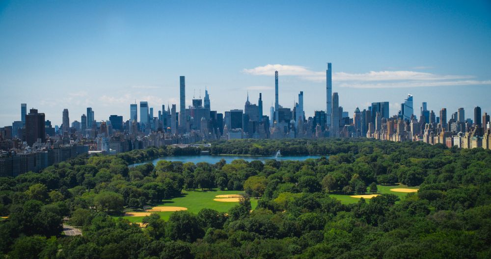 Aerial Helicopter Footage Over Central Park with Nature, Trees, People Having Picnic and Resting on a Field Around Manhattan Skyscrapers Cityscape. Beautiful Sunny Day. Slow Motion Footage