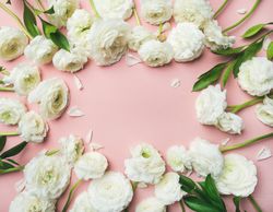 Light florals over pastel pink background