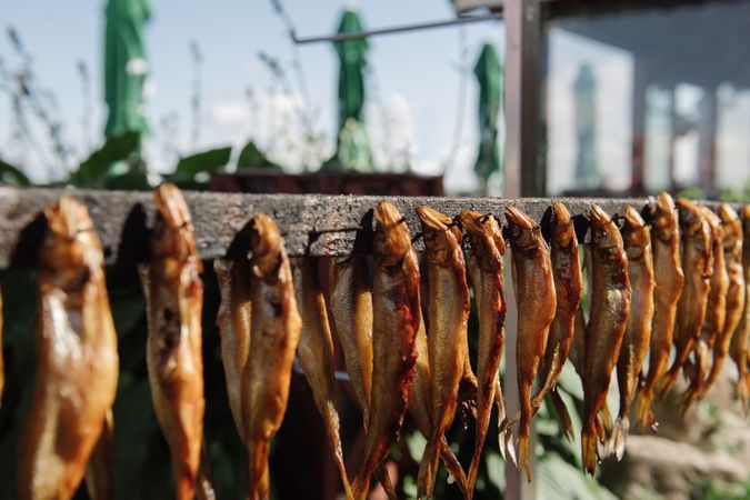 Row of smoked fish on wooden rail