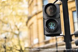 "Go" green pedestrian lights with 2 intersecting female gender symbol 5n8e6b