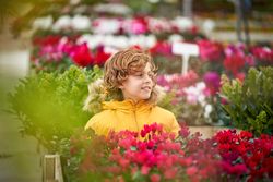 Adorable boy with curly hair sitting in botanic garden