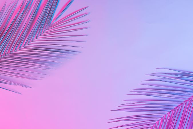 Tropical palm leaves in vibrant gradient holographic colors