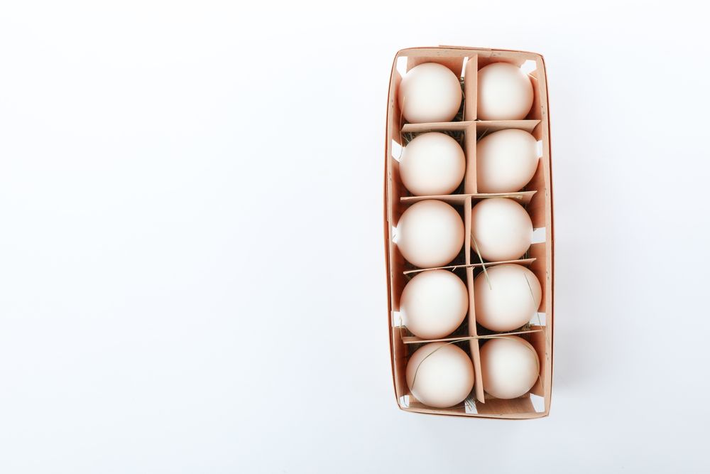 chicken eggs in carton box isolated on plain background, top view