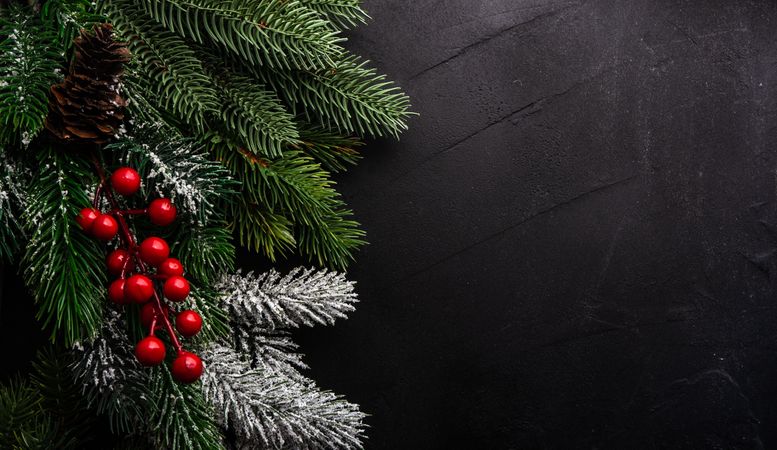 Christmas frame concept of branches and berries on concrete background