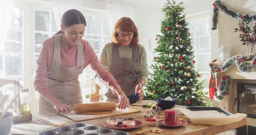 Portrait of Adult Mother and Daughter Preparing Christmas Dinner for Guests.