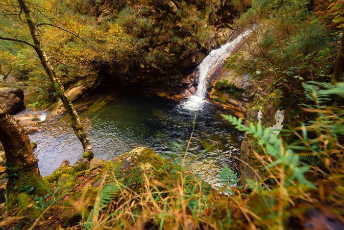 Small river and waterfall flowing in green dark beautiful forest.