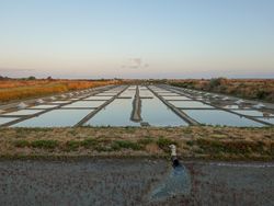 Salt mounds and pans and irrigation system at sunrise