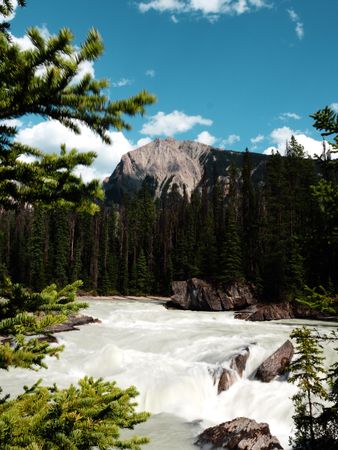 Takakkaw Falls