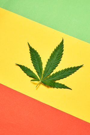 Cannabis leaf between red, yellow and green paper